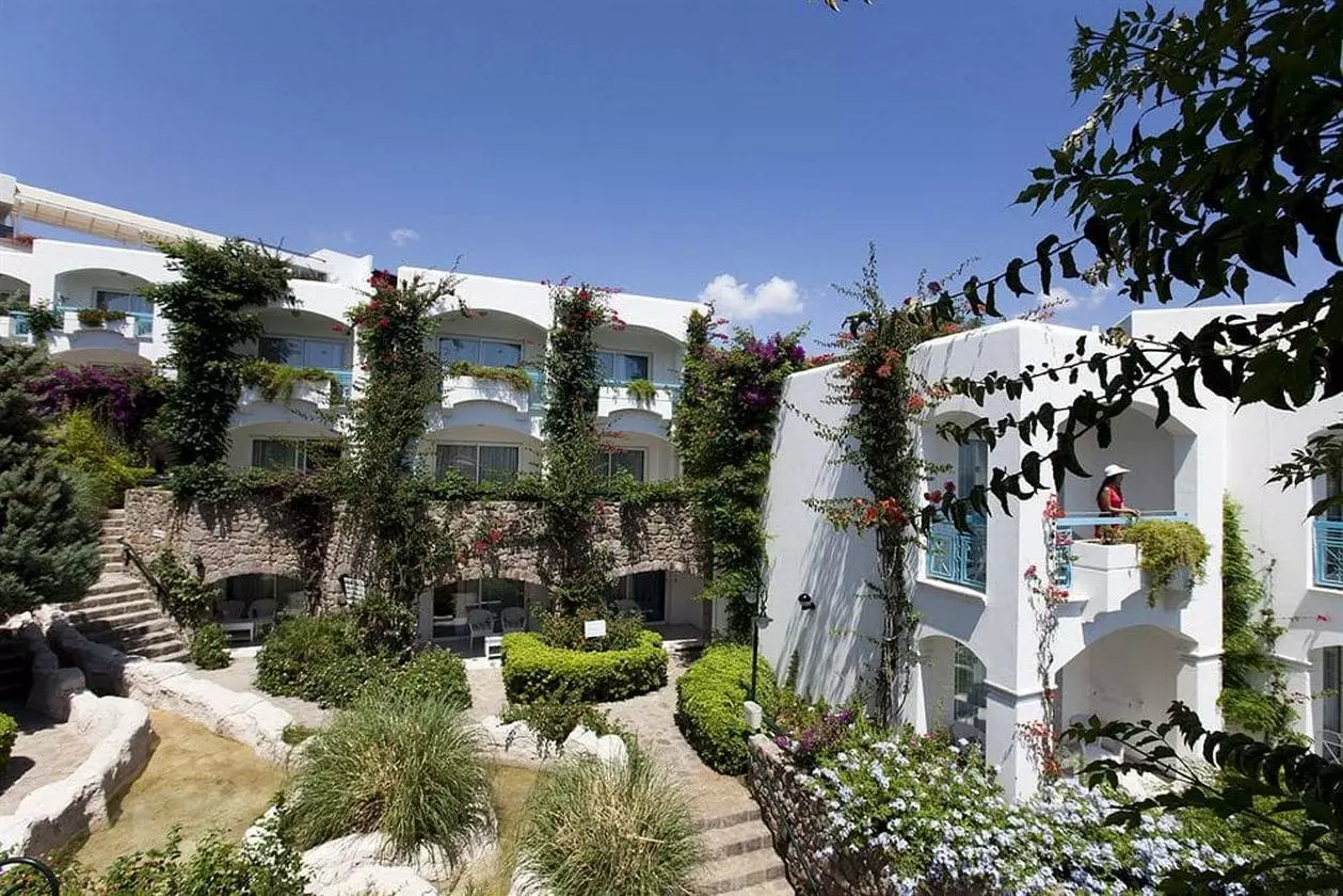 ROYALASARLIK_SHABAVIZ (7).jpg